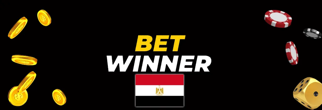 سياسة الخصوصية لكازينو Betwinner مصر